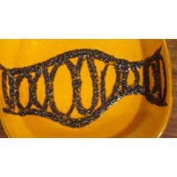 Prachtige fat lava fruitschaal - Scheurich