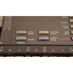 vintage CASIO SK-1 Sampling keyboard