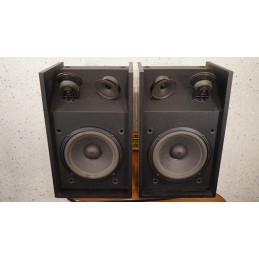 Customized BOSE 301 Series III speakers