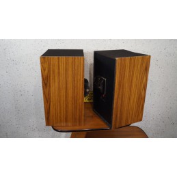 Customized BOSE 301 Series III speakers