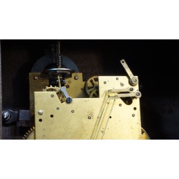 Prachtig Wuba Warmink mantelklokje