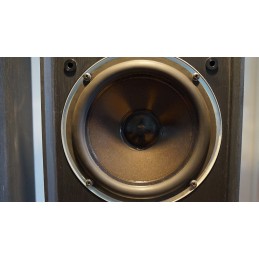 Originele Celestion Ditton 15 XR speakers