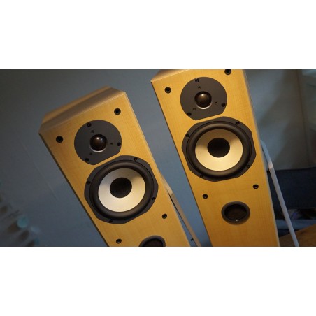 Fijne Tannoy Mercury MX3 luidsprekers