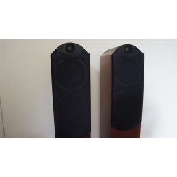 Prachtige Tannoy Eyris 2 towerspeakers