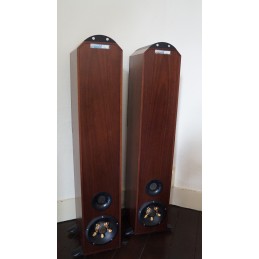 Prachtige Tannoy Eyris 2 towerspeakers