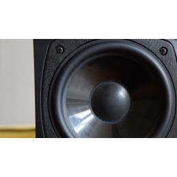 Hele nette Energy e:XL 16B-1 speakers